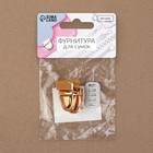 Застёжка для сумки, 3×2 см, цвет золотой - Фото 6