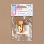 Застёжка для сумки, 4×3 см, цвет золотой - Фото 6