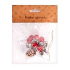 Новогодняя подвеска с природным декором «Снежная звезда» - Фото 3