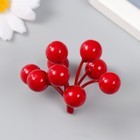 Декор для творчества "Ветка с ягодами рябины 9 ягод" 6 см - Фото 1