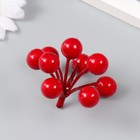Декор для творчества "Ветка с ягодами рябины 9 ягод" 6 см - Фото 2