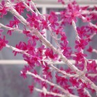 Светодиодное дерево «Акриловое» 3 м, 2304 LED, постоянное свечение, 220 В, свечение фиолетовое - Фото 4