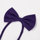 Подтяжки детские «Выбражулька», ширина 2.5 см, бабочка, фиолетовая - Фото 6