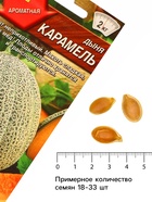 Семена Дыня «Карамель», 1 г, «Аэлита» - Фото 4