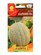 Семена Дыня «Карамель», 1 г, «Аэлита» - Фото 5