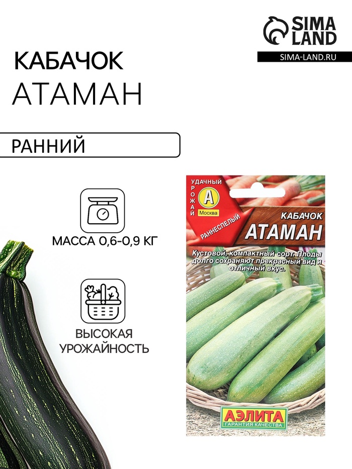 Семена Кабачок цуккини «Атаман», 1 г, «Агрофирма АЭЛИТА» - Фото 1