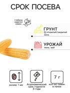 Семена Кукуруза попкорн «Лопай-лопай», 7 г, «Аэлита» - Фото 2