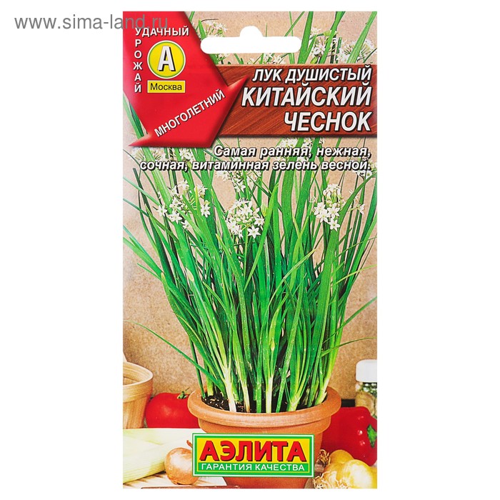 Семена Лук душистый «Китайский чеснок», 0.3 г, многолетник, «Аэлита» - Фото 1