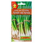 Семена Лук на зелень "Лучок на пучок", 0,5 г - Фото 3