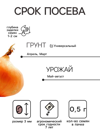 Семена Лук на зелень «Лучок на пучок», 0.5 г, «Аэлита»