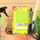 Семена Лук на зелень "Лучок на пучок", 0,5 г - Фото 2