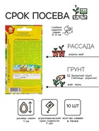 Семена Огурец "Китайские палочки" F1 партенокарпический, 10 шт - Фото 3