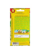 Семена Огурец "Китайские палочки" F1 партенокарпический, 10 шт - Фото 6