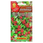 Семена Шпинат "Земляничный", 0,05 г - Фото 3