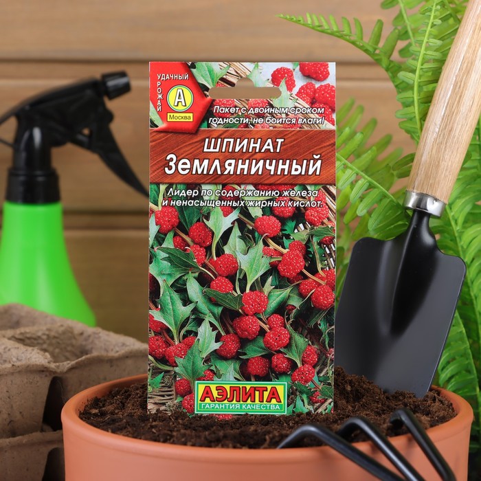 Семена Шпинат "Земляничный", 0,05 г - Фото 1