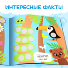 Книга с наклейками «Умные кружочки. Кто, где живёт?», 12 стр. - Фото 5