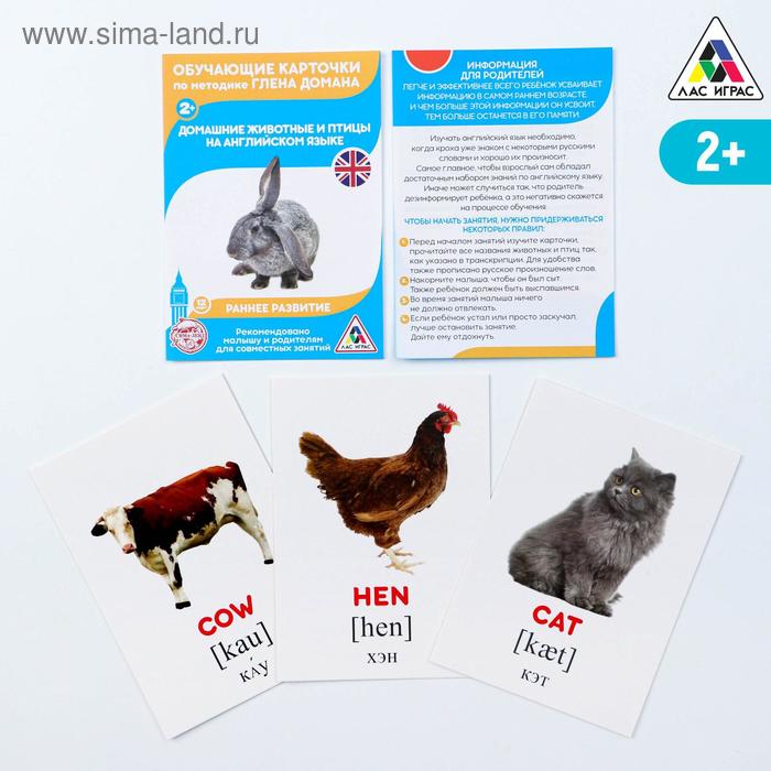 Обучающие карточки по методике Г. Домана «Домашние животные на английском языке», 12 карт, А6 - Фото 1