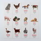 Обучающие карточки по методике Г. Домана «Домашние животные на английском языке», 12 карт, А6 - Фото 2