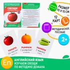 Обучающие карточки по методике Г. Домана «Овощи на английском языке», 12 карт, А6 3871973 - фото 11511565