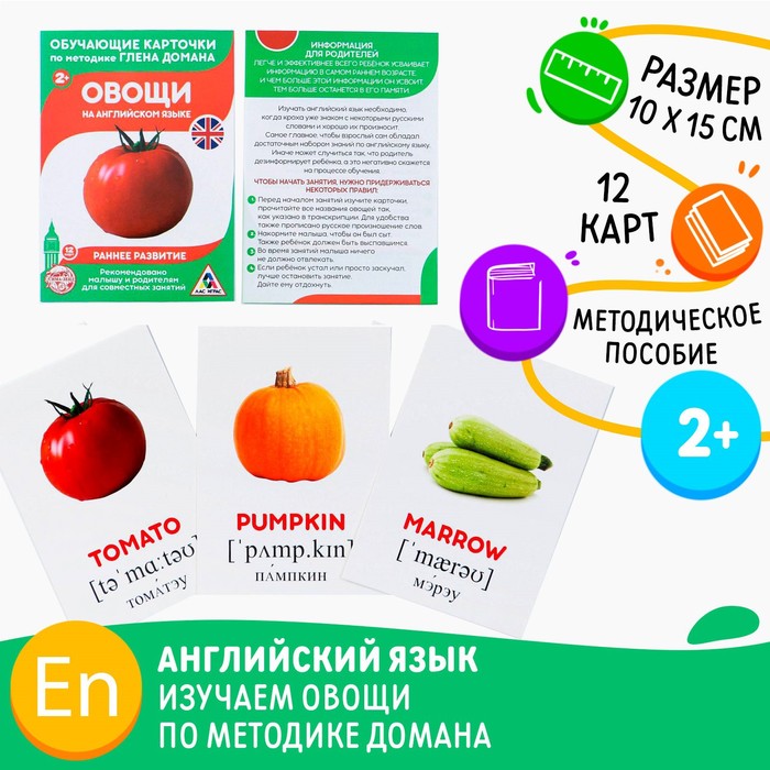Обучающие карточки по методике Г. Домана «Овощи на английском языке», 12 карт, А6 - Фото 1