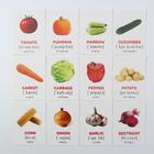Обучающие карточки по методике Г. Домана «Овощи на английском языке», 12 карт, А6 - Фото 2