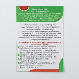 Обучающие карточки по методике Г. Домана «Овощи на английском языке», 12 карт, 2+