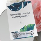 Брошь «Лист весенний» ажурный, цвет зелёный в чернёном золоте - Фото 4