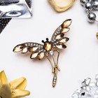 Брошь «Стрекозка» с хвостиком, цвет коричневый в золоте - Фото 1