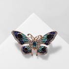 Брошь «Бабочка» павлиний глаз, сине-бирюзовая в золоте - Фото 1
