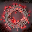 Гирлянда «Нить» 10 м, IP44, белая нить, 100 LED, свечение красное, 8 режимов, 220 В - Фото 1