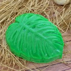 Пластиковая форма для мыла "Монстера" 7,5х2,5х9 см - Фото 1