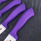 Набор керамических ножей «Сакура», 4 предмета: лезвие 7 см, 9,5 см, 12,5 см, 15 см - Фото 5