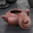 Чайник керамический заварочный «Ковыль», 300 мл - Фото 2