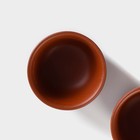 Набор для чайной церемонии керамический «Дракон», 10 предметов: 8 пиал 35 мл, чайник 200 мл, чахай 150 мл, цвет коричневый - Фото 3
