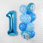 Букет из шаров «Первый день рождения. Малыш», фольга, латекс, набор 13 шт. - фото 9414315