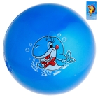Мяч детский "Дельфин" 60 гр, цвета МИКС - Фото 1