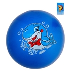 Мяч детский Дельфин 16 см, 50 гр МИКС - Фото 4