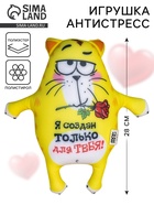 Мягкая игрушка-антистресс «Я создан только для тебя!», Котэ - Фото 1