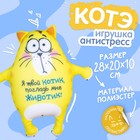 Мягкая игрушка-антистресс «Я твой котик, погладь мне животик!», Котэ - Фото 1