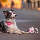 Рулетка «Салют», 5 м, до 35 кг, принт, белая - Фото 16