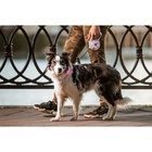 Рулетка «Салют», 5 м, до 35 кг, принт, белая - Фото 9