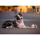 Рулетка «Салют», 5 м, до 35 кг, принт, белая - Фото 10