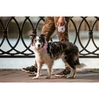 Рулетка «Салют», 5 м, до 35 кг, принт, белая - Фото 11