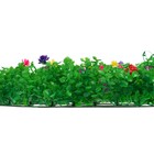 Декоративная панель, 40 × 60 см, «Разноцвет», МИКС, Greengo - Фото 13