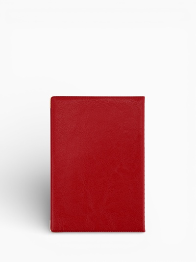 Обложка для паспорта, пвх, 9.5×0.5×13.5 см, МИКС