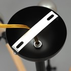 Люстра "Краб-дерево" 12х60Вт Е27 черный 80х80х100см - Фото 11