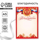 Благодарность А5 символика РФ, 157 г/м² - Фото 1