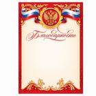 Благодарность А5 символика РФ, 157 г/м² - Фото 2