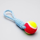 Игрушка канатная плетёная с мячом, до 130 г, до 33 см, микс цветов - Фото 2