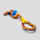 Игрушка канатная с ручкой и мячом, до 150 г, до 35 см, микс цветов - фото 8425364
